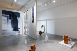 Ben Alon & Liam Emile Chambon, Incells Installation View, 2026 Liam Chambon ליאם שמבון