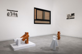 Ben Alon & Liam Emile Chambon, Incells Installation View, 2026 Liam Chambon ליאם שמבון