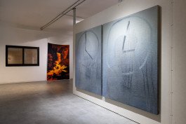 Ben Alon & Liam Emile Chambon, Incells Installation View, 2026 Liam Chambon ליאם שמבון